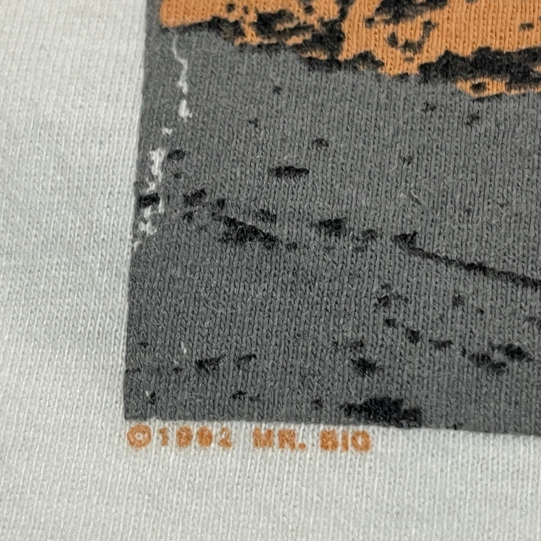 MR BIG T-Shirt lean into it tour 1992 / 90s Made in USA シングルステッチ Tシャツ Hanes