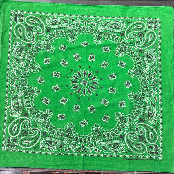90s HAV-A-HANK Bandanna Green / バンダナ ペイズリー