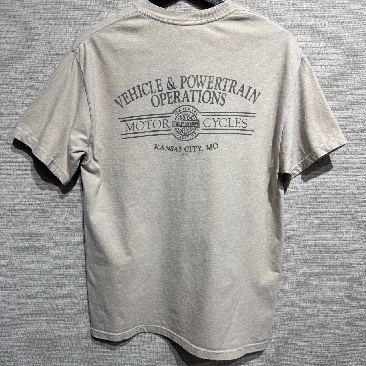 00s Harley Davidson T-Shirt / ハーレーダビッドソン　Tシャツ　イーグル　ベージュ