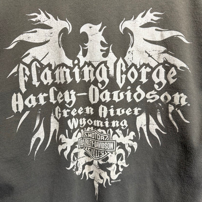 Harley Davidson / ハーレーダビッドソン　長袖Tシャツ ドラゴン　2012
